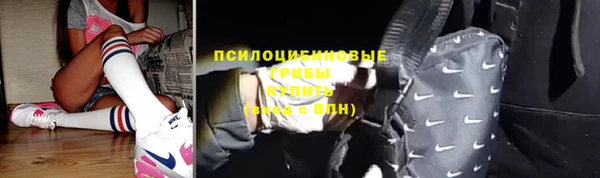 ПСИЛОЦИБИНОВЫЕ ГРИБЫ Белокуриха