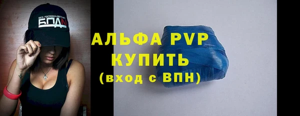 ПСИЛОЦИБИНОВЫЕ ГРИБЫ Белокуриха