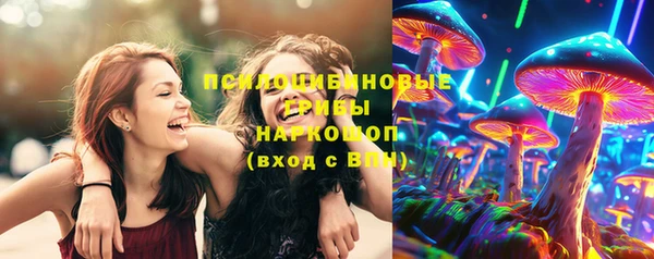 ПСИЛОЦИБИНОВЫЕ ГРИБЫ Белокуриха