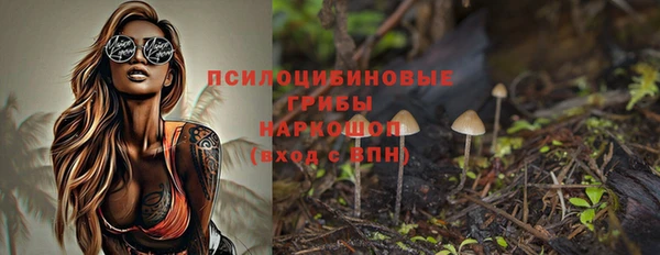 ПСИЛОЦИБИНОВЫЕ ГРИБЫ Белокуриха