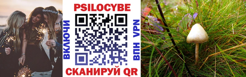 Купить закладки  Бутурлиновка  Галлюциногенные грибы Magic Shrooms 